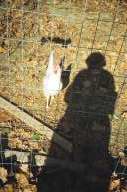 thanksgiving107