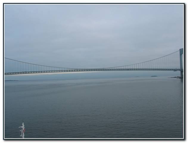 cruise029