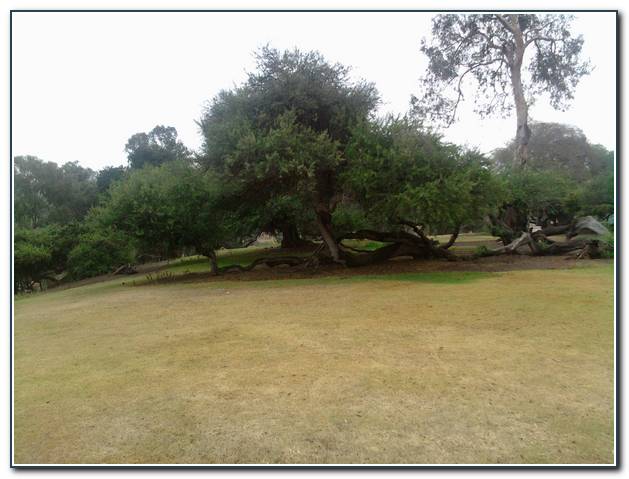 sandiego_004